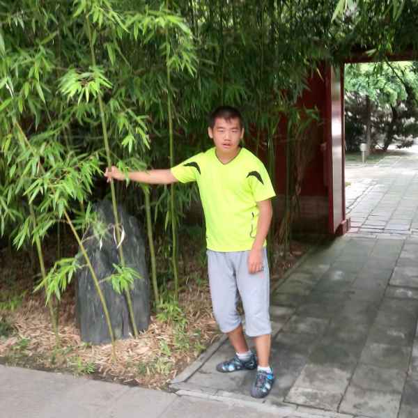 鹤壁征婚相亲网