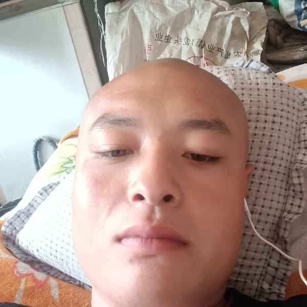 鹤壁征婚相亲网