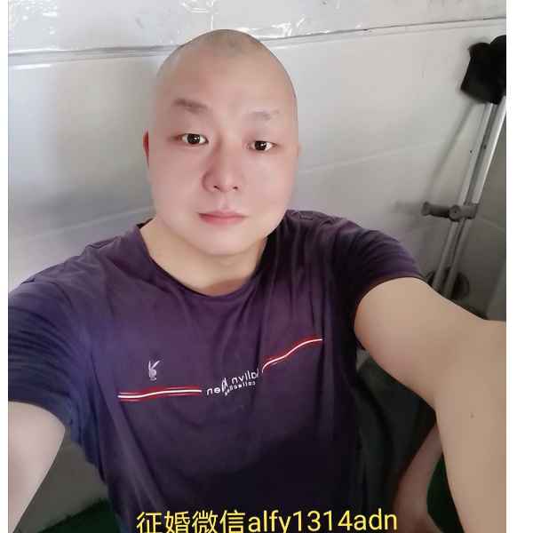 鹤壁征婚相亲网