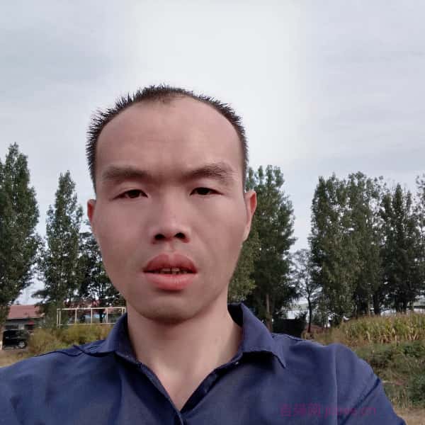 鹤壁征婚相亲网