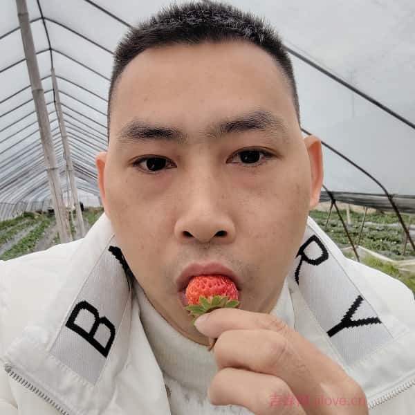 鹤壁征婚相亲网